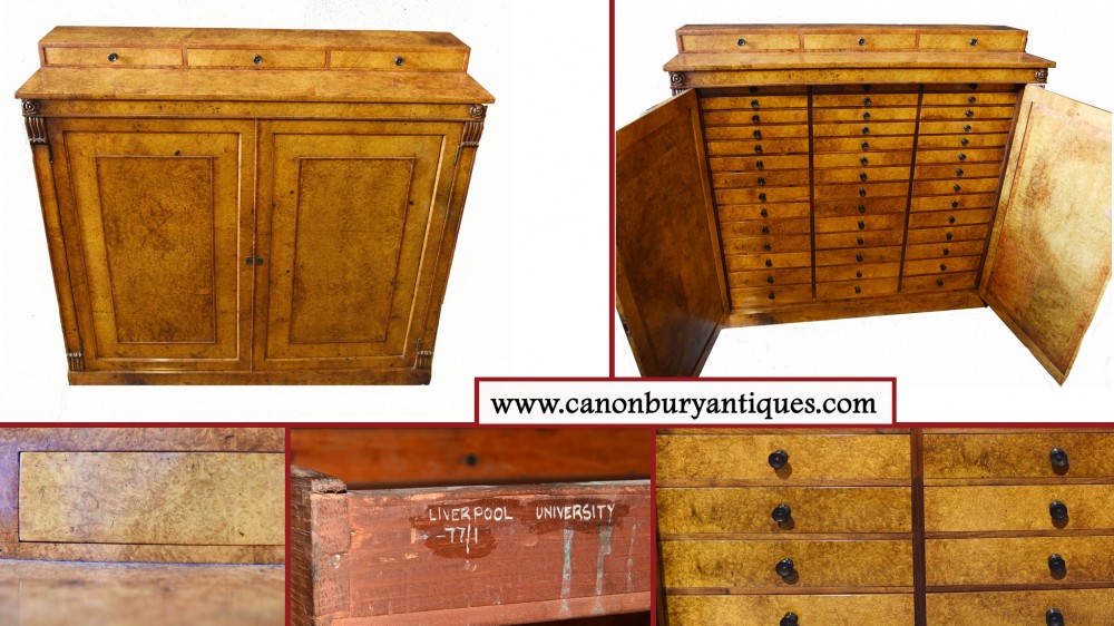 Antique Collectors Cabinet - Specimen Chest Liverpool University 1840