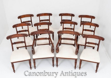 William IV Dining Chairs - Antique Mahogany Set