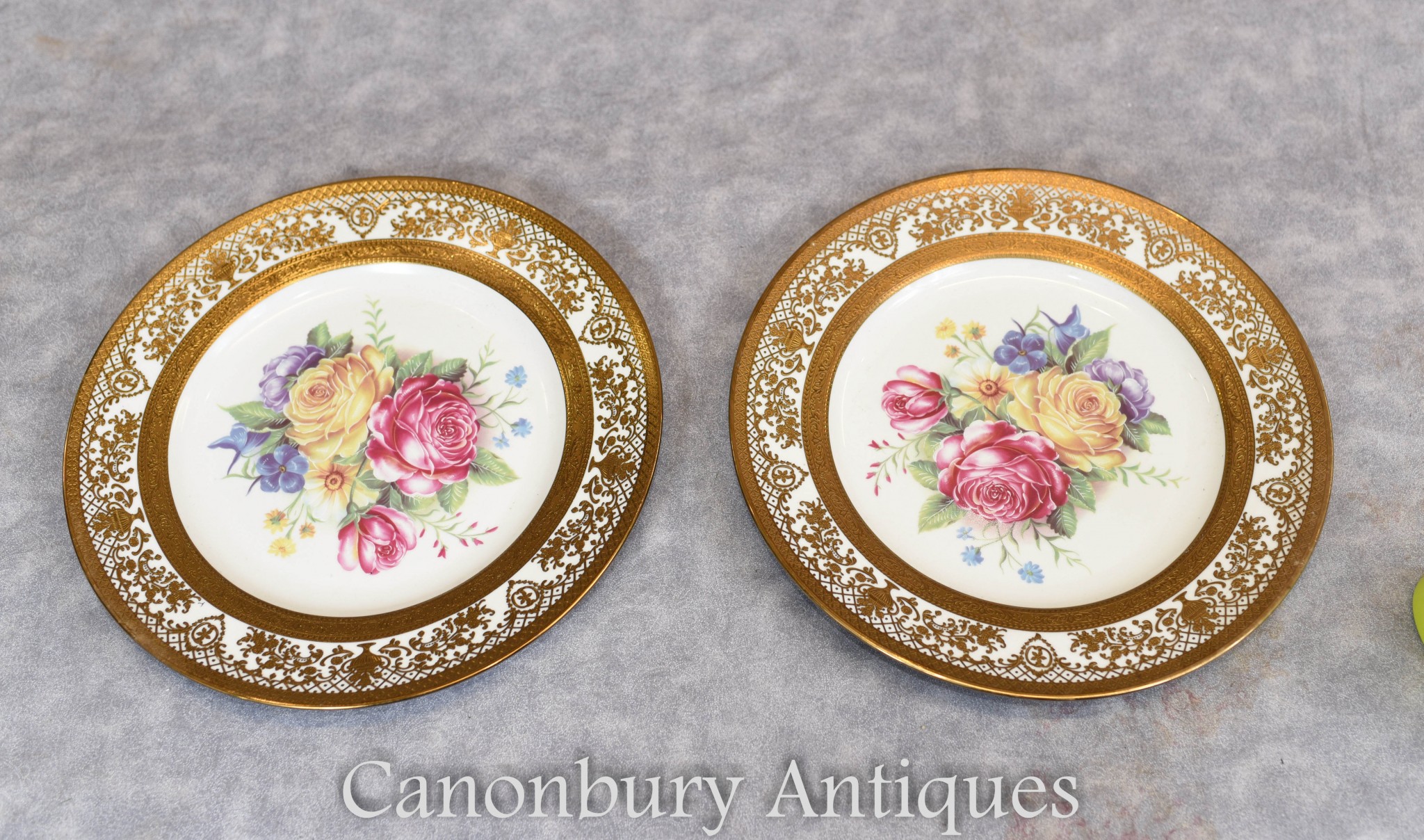 Pair Old Romany Rose Bone China Plates Floral Plaque