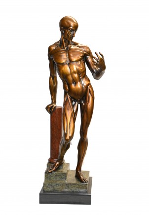 Anatomical Study Flayed Male Bronze Statue after Houdon L corche Casting