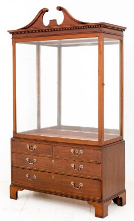 Antique Display Cabinet - Georgian Mahogany Specimen 1880