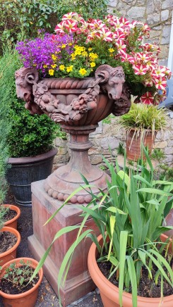 Classical Terracotta Garden Urn Regency Rams Head Planter