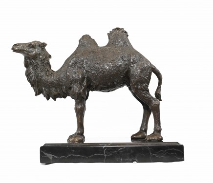French Bronze Camel Statue Saharan Camels Animals