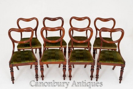 Harlequin Set Victorian Dining Chairs - Mahogany 1850