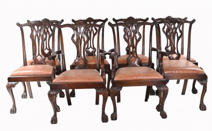 Set Chippendale Dining Chairs Mahogany Antique 1890 Ball Claw