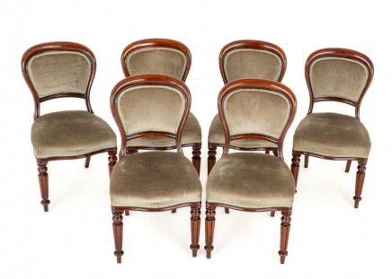 Set William IV Dining Chairs Uholstered 19th Century